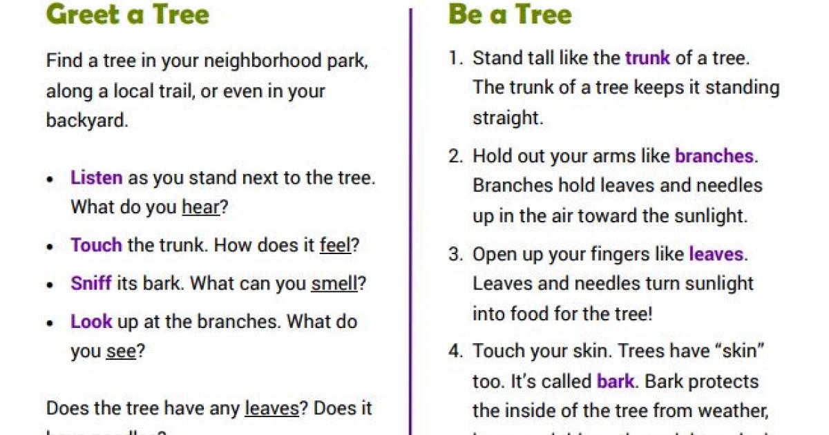 TOTs Trees Activity | Bureau of Land Management