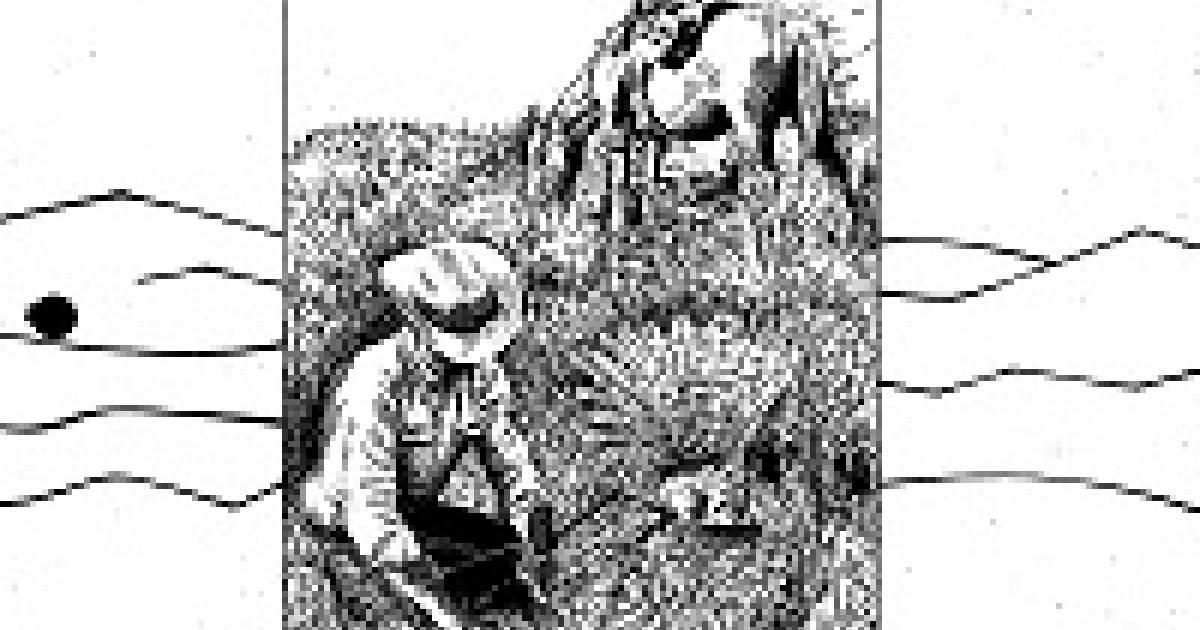 Rangeland Inventory and Monitoring: Supplemental Studies | Bureau of ...