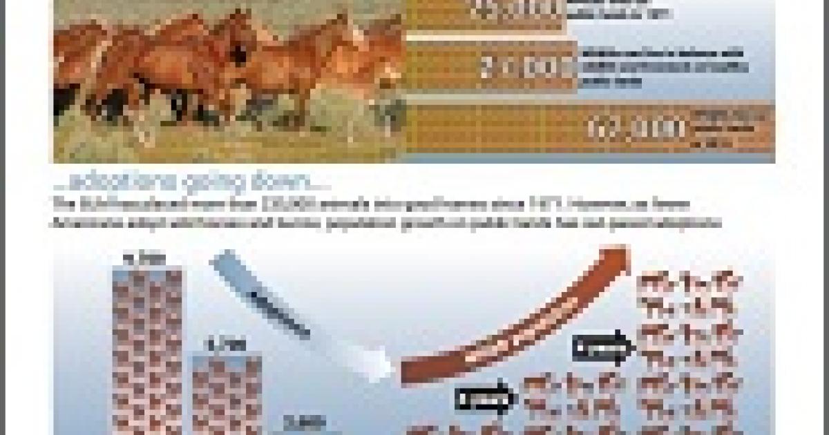 BLM Wild Horse and Burro Infographic Bureau of Land Management