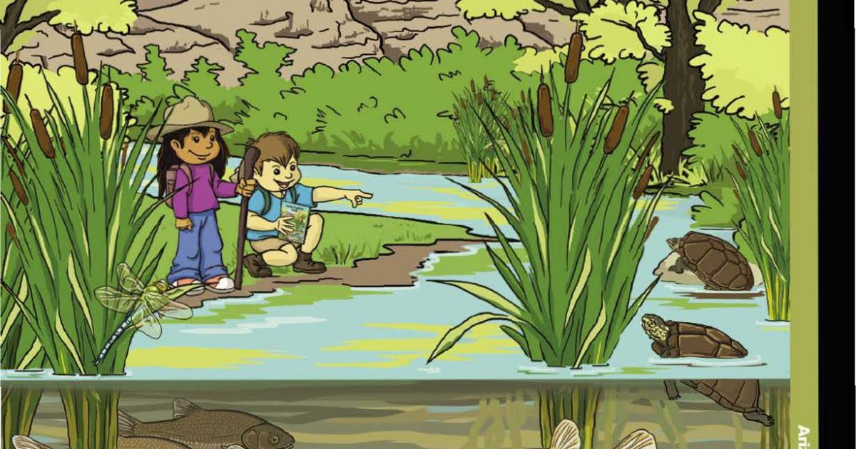 Desert Fishes Junior Ranger Book | Bureau of Land Management