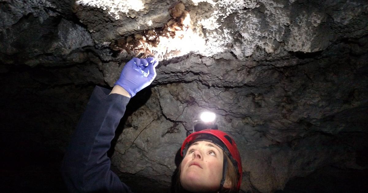 Idaho Caves and Karsts Bureau of Land Management