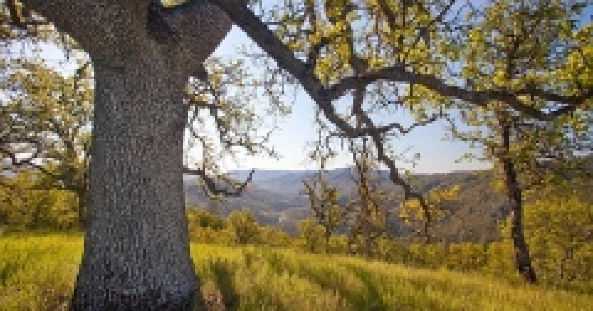 Secretary Haaland Highlights Locally Led Conservation Efforts in Visit to Berryessa Snow Mountain National Monument