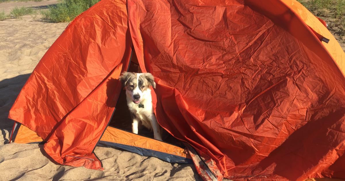Setting up tents can be frustrating. This is how I set up my