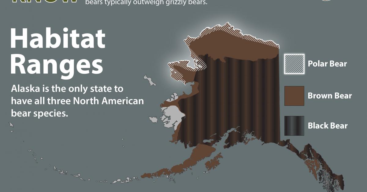 Bearable Knowledge for Alaska Infographic | Bureau of Land Management