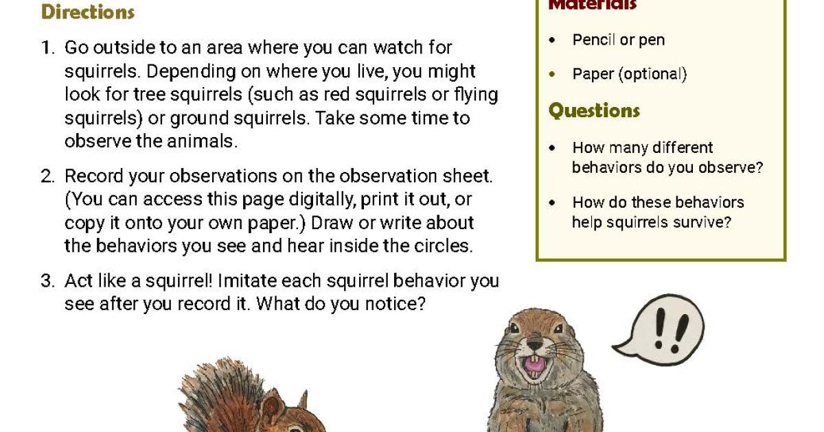 Decode Squirrel Behavior Activity Bureau of Land Management