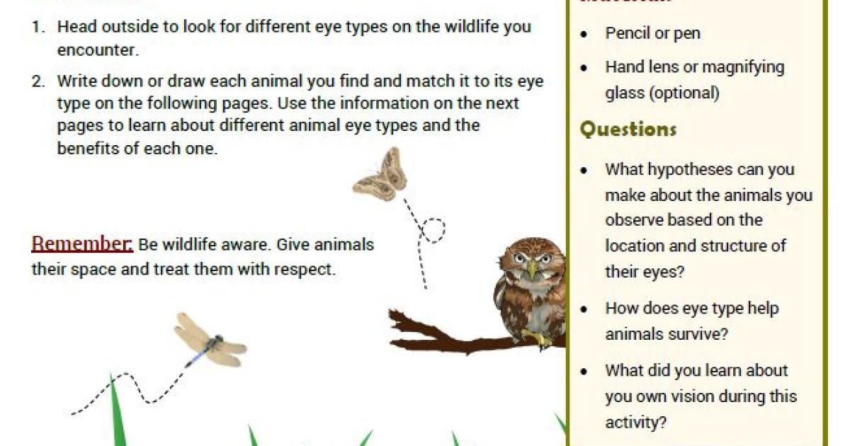 Eye Spy: Animal Eyes Activity | Bureau of Land Management
