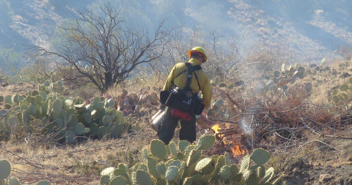 BLM plans prescribed burns in Yavapai and Maricopa counties Bureau of