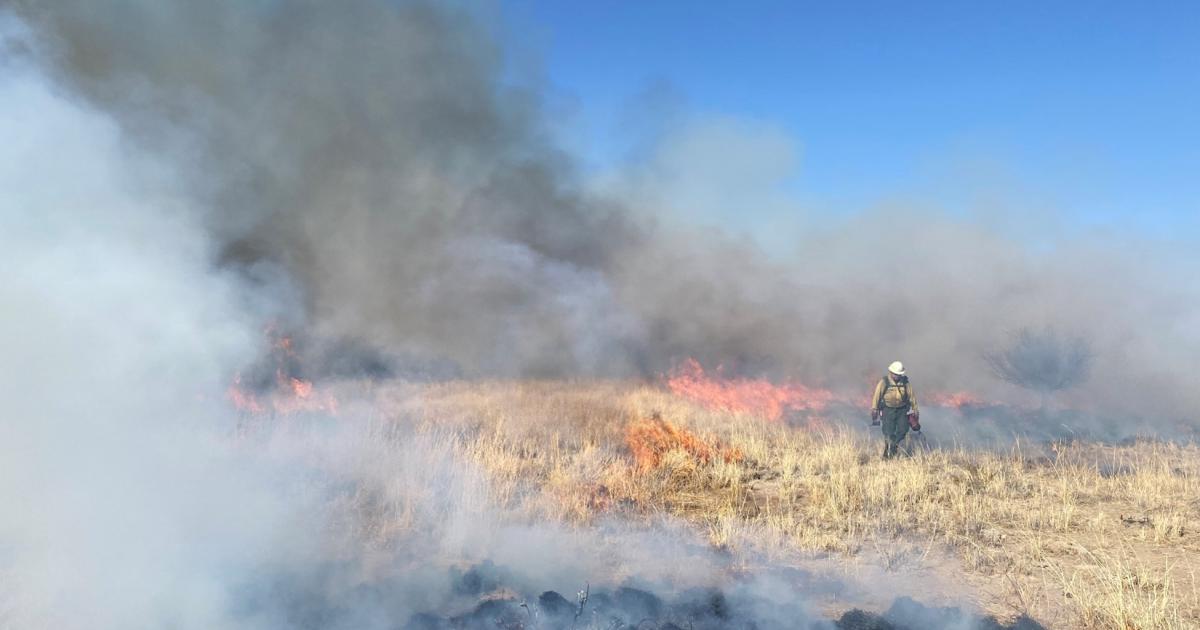 BLM Rio Puerco Field Office implements Chain of Craters prescribed fire ...