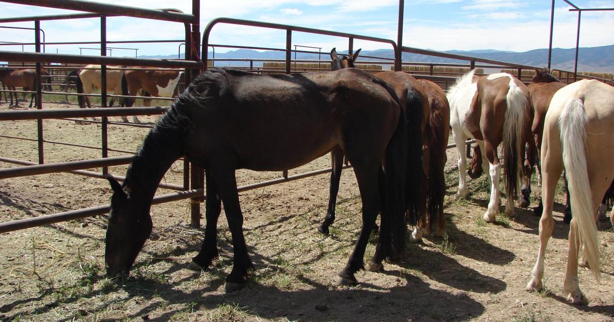 BLM to host public tour of the - AxtellCorral