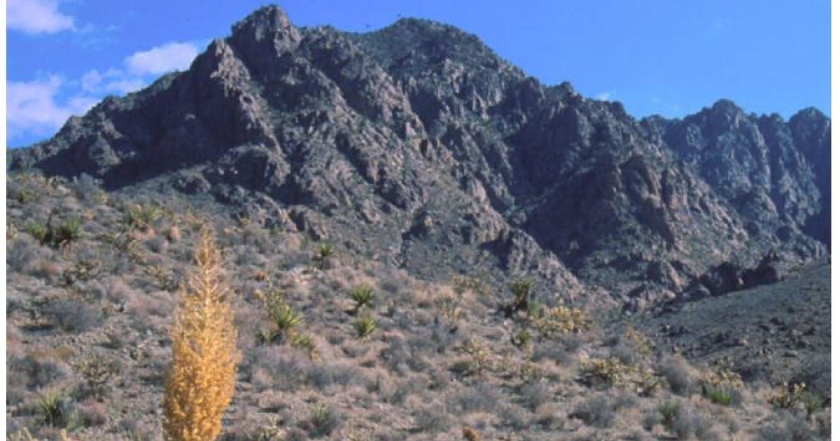 Barstow Field Office Information Guide Bureau of Land Management