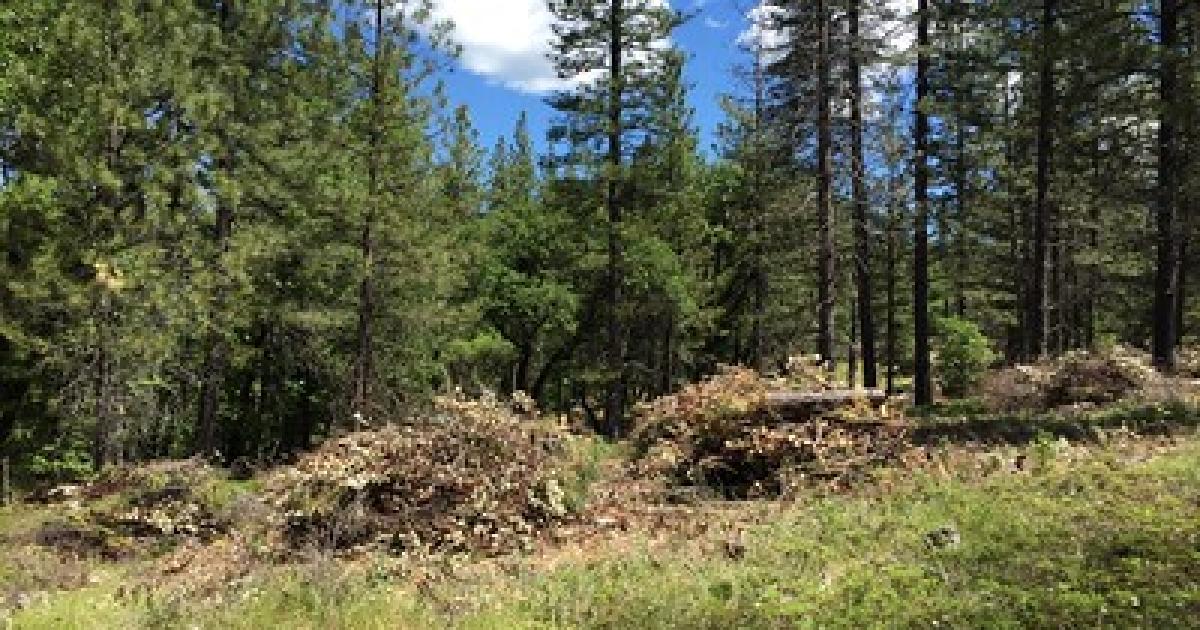 Bureau Of Land Management To Oversee Prescribed Fire In The Inimim