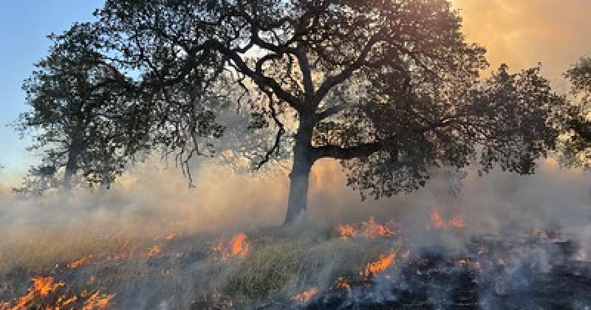 The BLM plans prescribed burns in Shasta, Trinity, Siskiyou and Butte