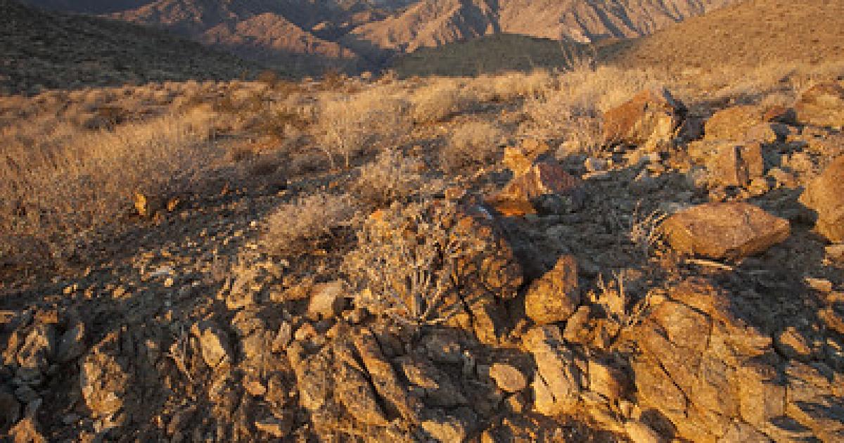 The BLM lifts seasonal fire and target shooting restrictions in