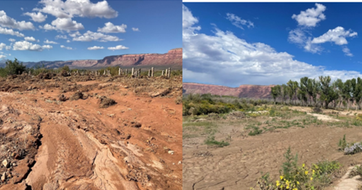 The Paradox picket baffle and restoration revisited in 2022 - Bureau of Land Management