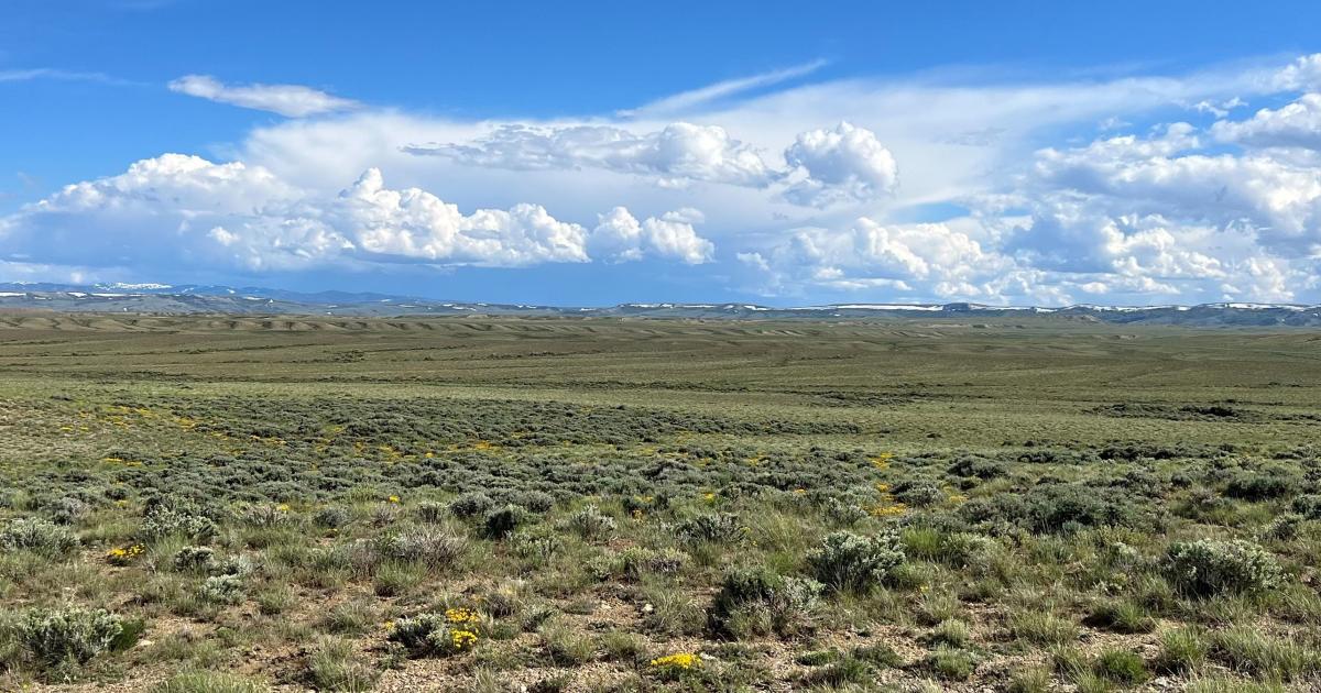 BLM announces  million investment from Bipartisan Infrastructure Law for ecosystem restoration