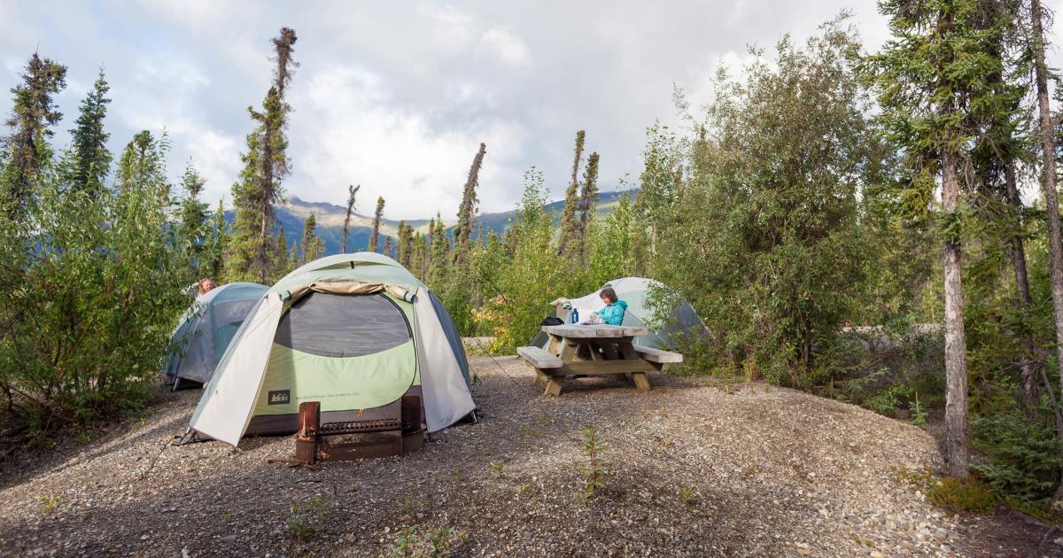 BLM closes Marion Creek Campground early due to bear activity Bureau