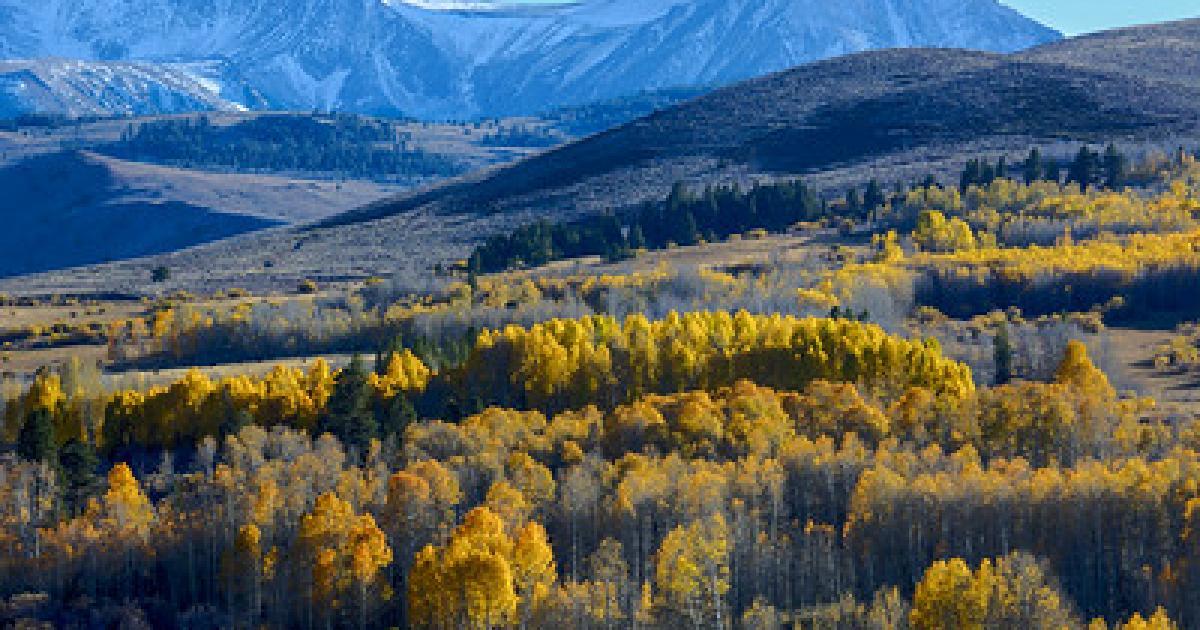 BLM Bishop Field Office eases seasonal fire restrictions effective today