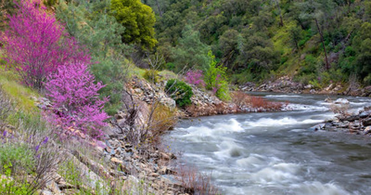 BLM Mother Lode Field Office eases seasonal fire restrictions