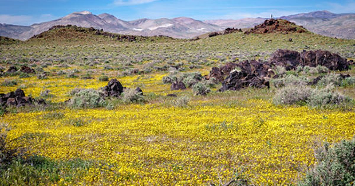 BLM seasonal fire and target shooting restrictions are no longer in