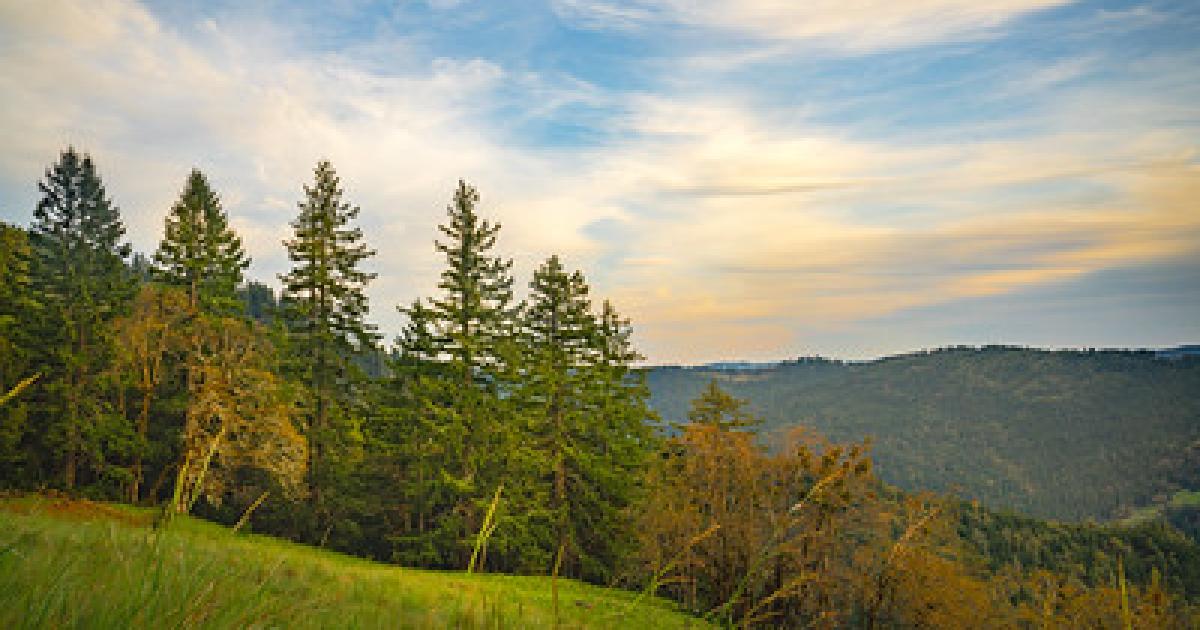 BLM sets public meetings on draft management plan for northwest Calif. public lands