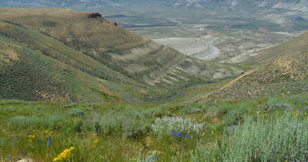 BLM extends public participation period for Carbon Dioxide