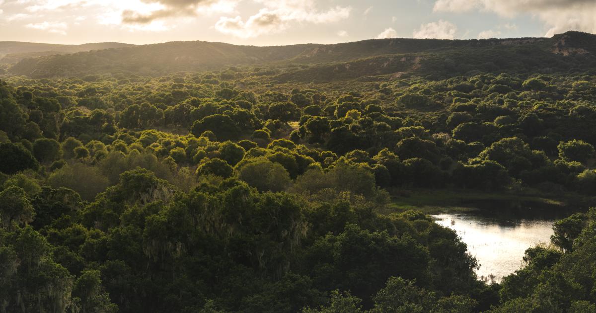 Join Fort Ord National Monument for National Public Lands Day