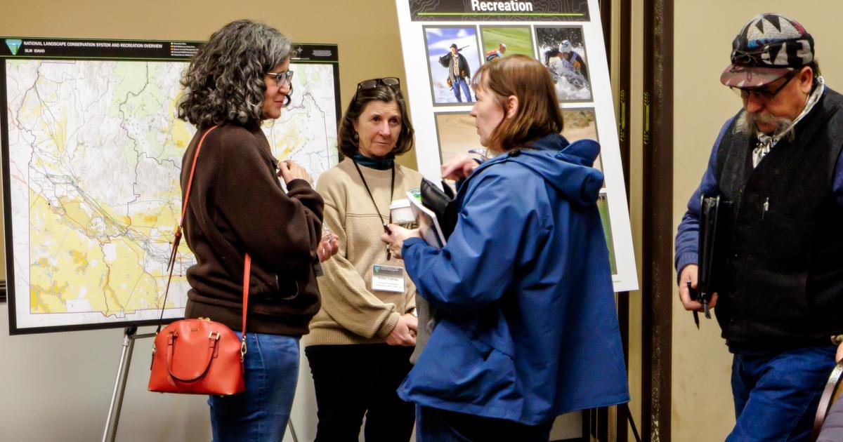 BLM shares public feedback and revised process in Idaho Renewable Energy Strategy Bureau of