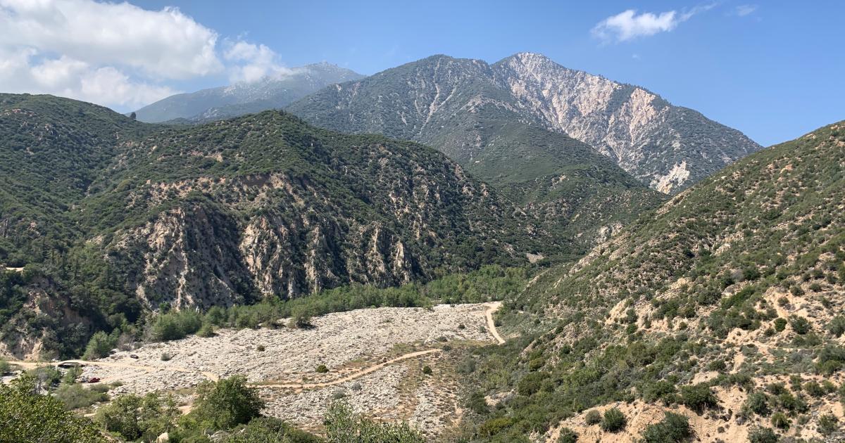 San Bernardino National Forest lands protected for rare plant species