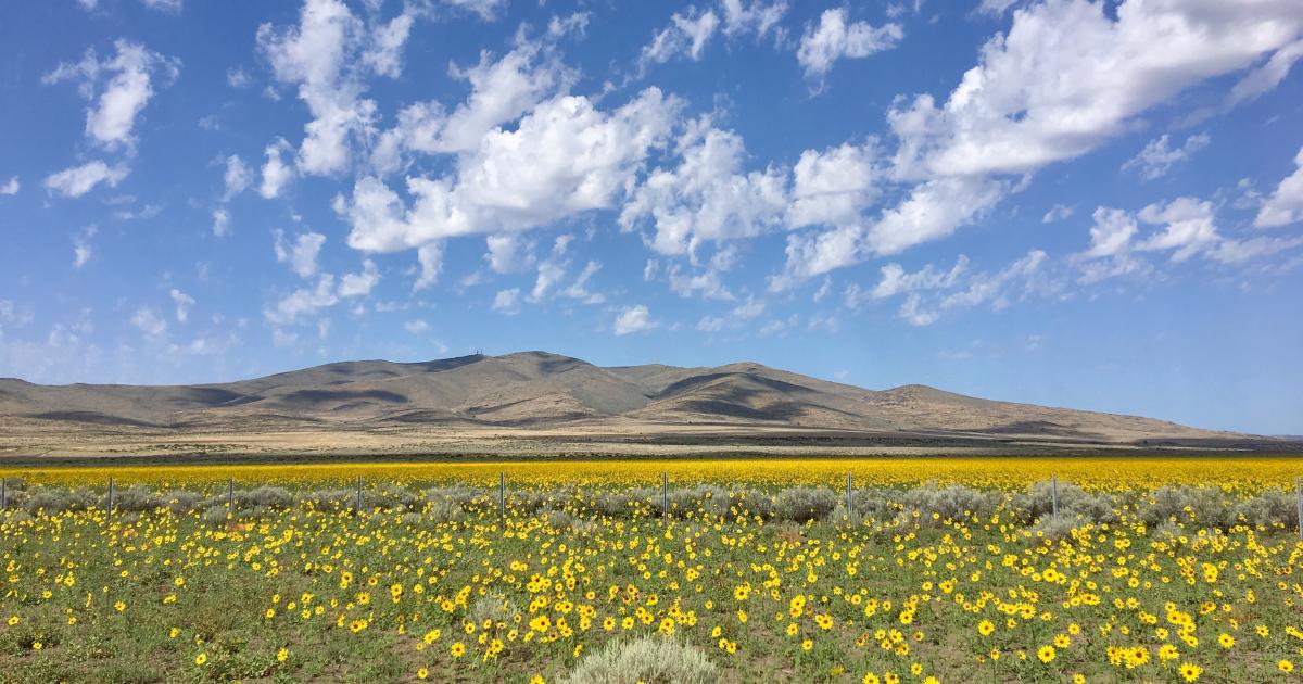 BLM offers virtual option for attending Resource Advisory Council meeting