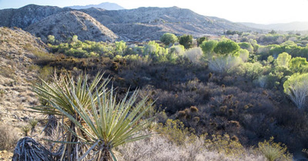 BLM California Desert District to host Advisory Council meeting in December