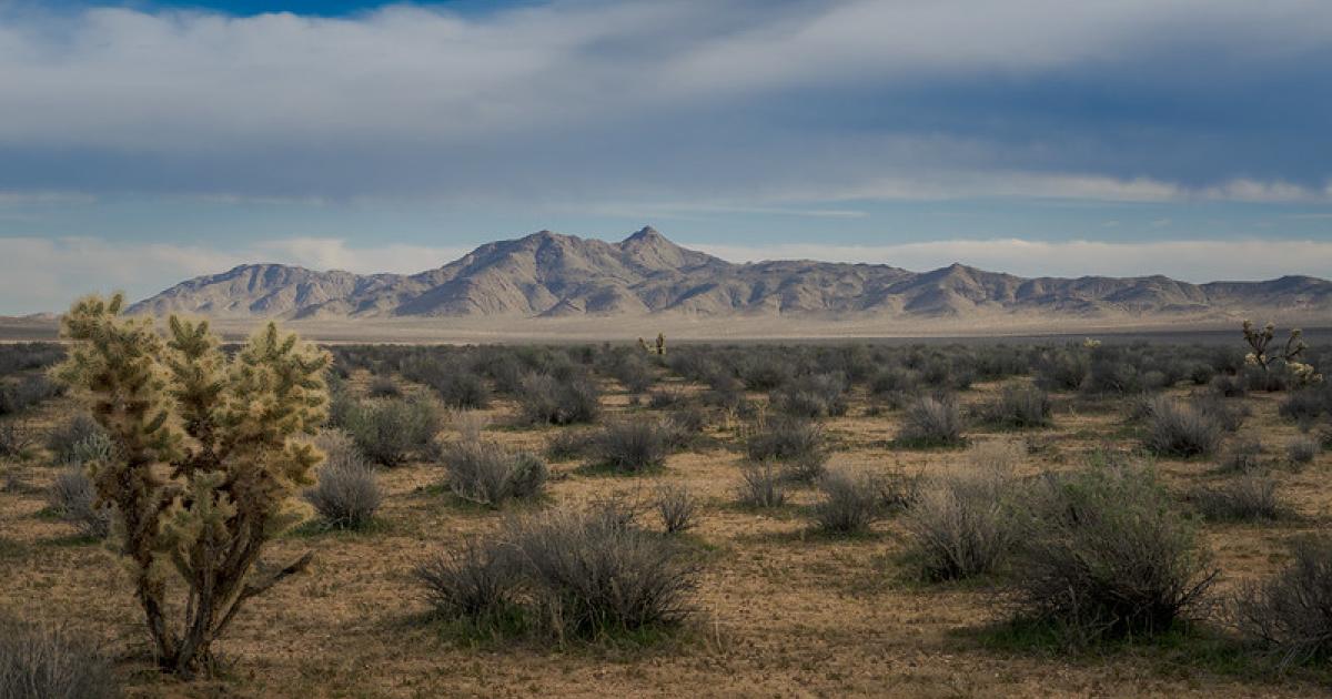 BLM invests .5 million for cultural landscape study and predictive modeling in California Desert