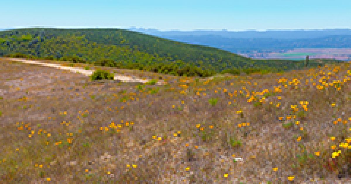 The BLM Central Coast Field Office lifts seasonal fire restrictions