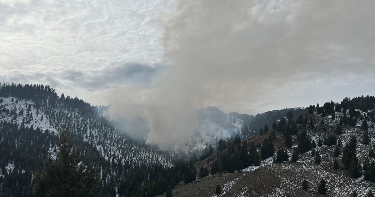 BLM to conduct pile burns near Malad City to complete a wildlife