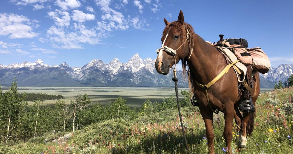 Gin and Finley ride across America Bureau of Land Management