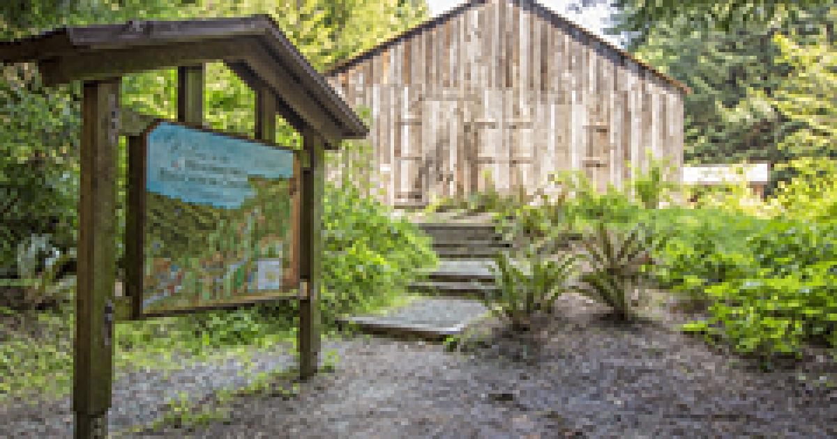 Falk townsite in Headwaters Forest Reserve named to National Register of Historic Places