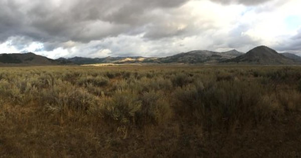 BLM cancels advisory council field tour, will conduct business meeting