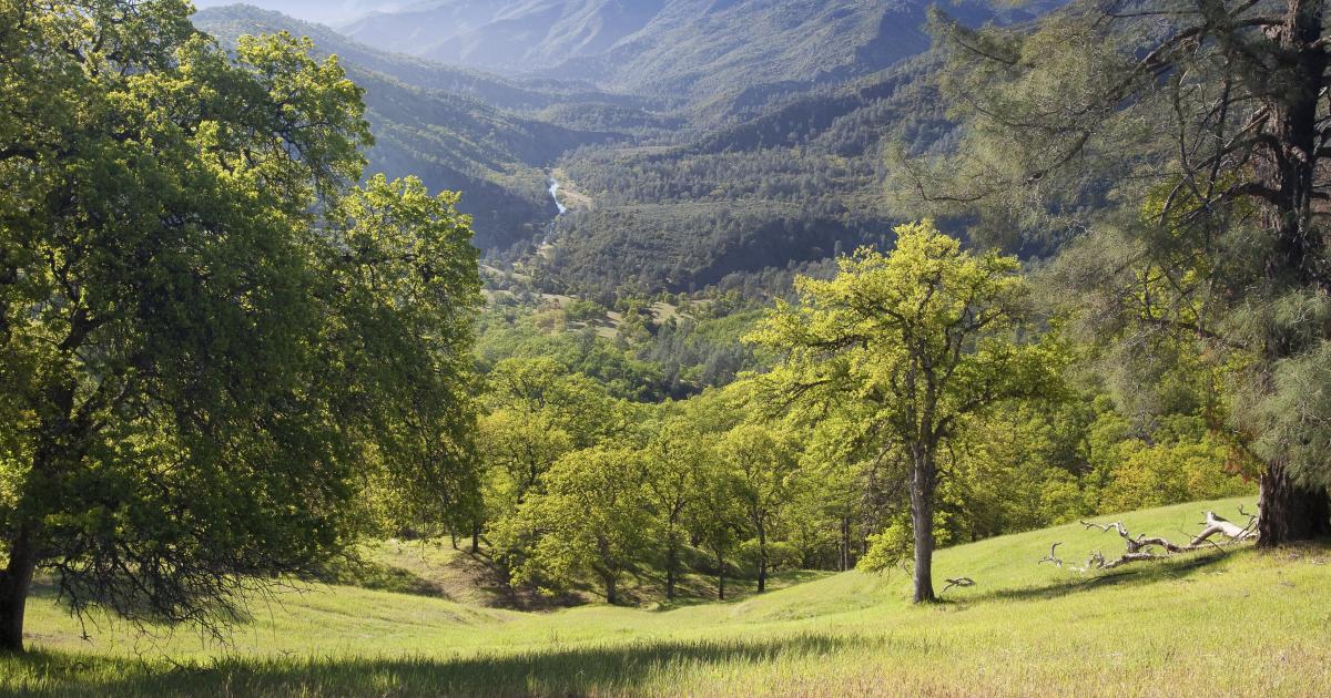 Berryessa Snow Mountain National - 26720821610 A9fd672edf 4k 