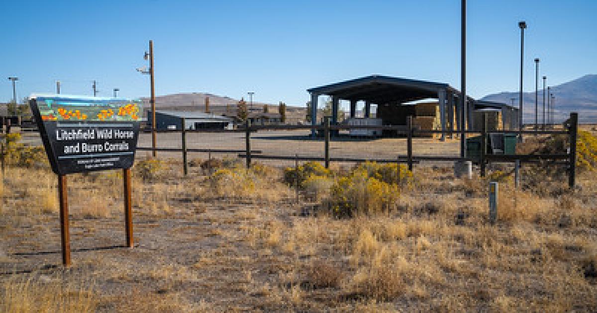 Storms cause damage, limit operations at BLM Litchfield corrals