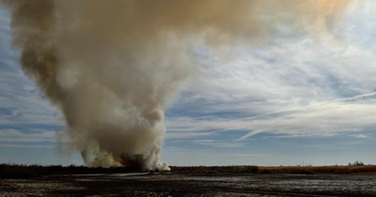 BLM to conduct prescribed fire at Dos Palmas Preserve to improve wildlife habitat