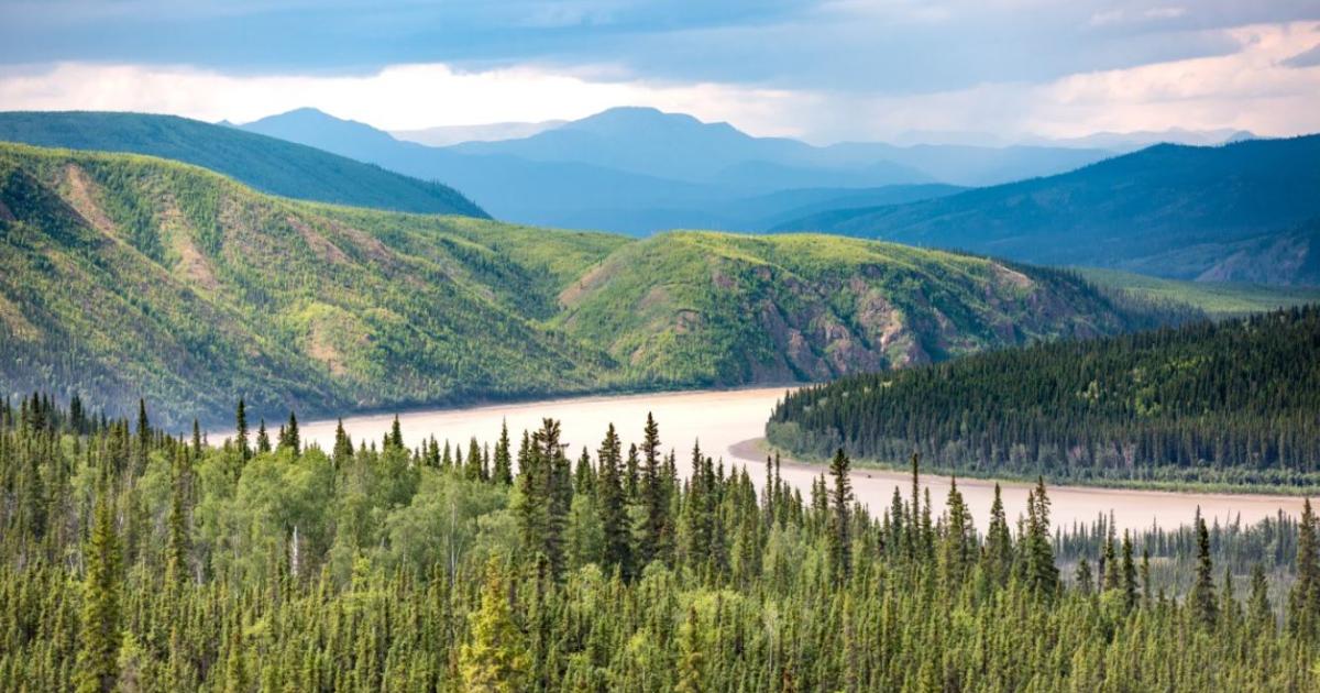 Yukon River corridor by Yukon Territory & Alaska