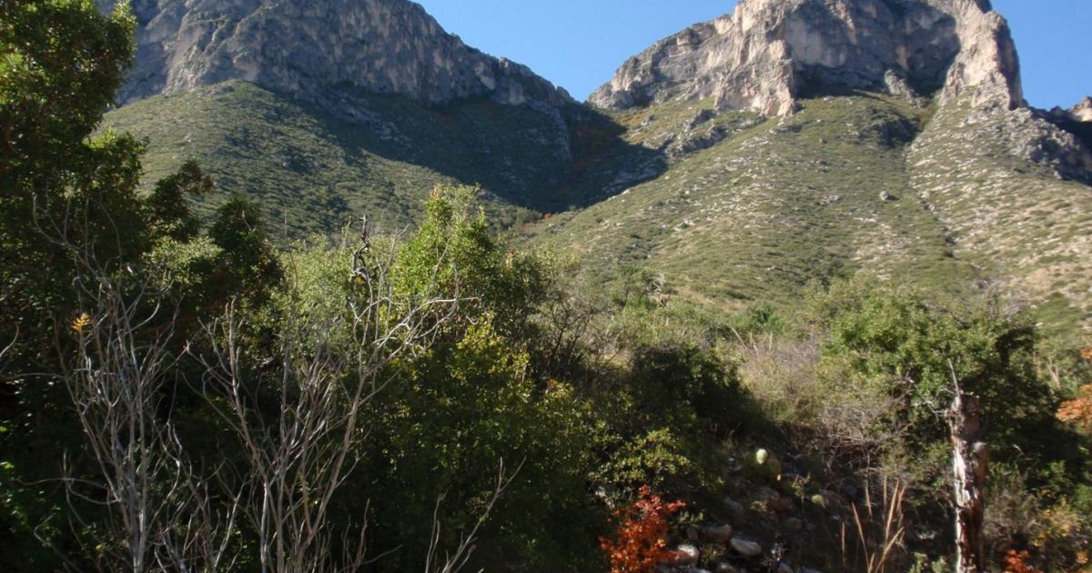 Public Land Order No 7942 Withdrawal - Guadalupe%20Cave