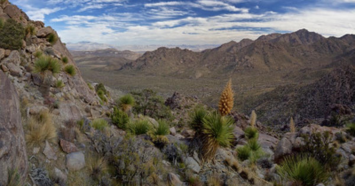 BLM to host California Desert District Advisory Council meeting and field tour August 9-10