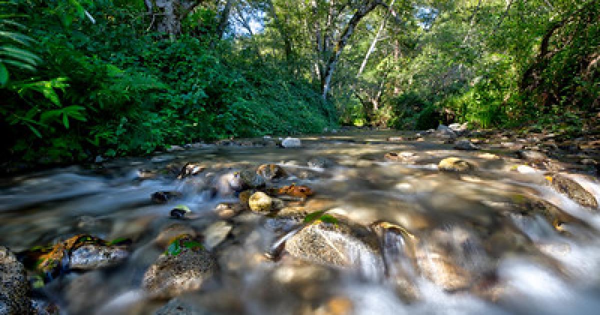 BLM seeks nominations to Resource Advisory Councils in California