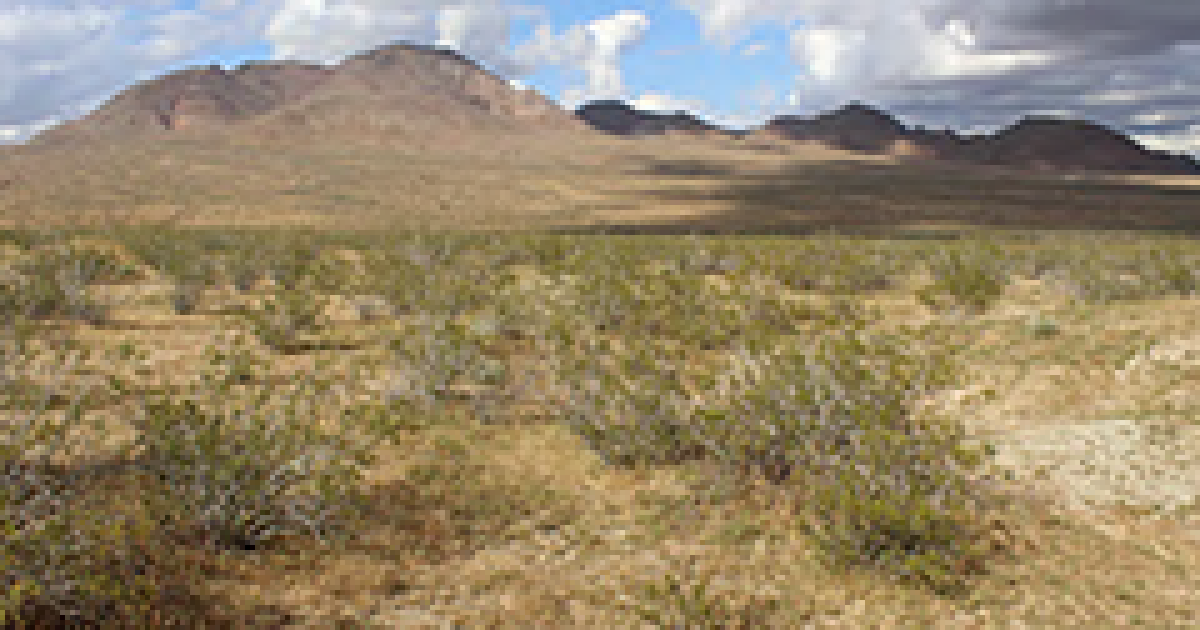 Direct Sale of Public Lands in Barstow, San Bernardino County, California