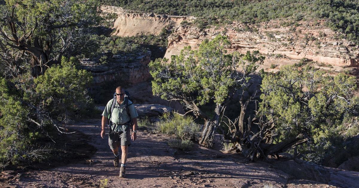 How the BLM relies on the public, computer drawings, and local ...