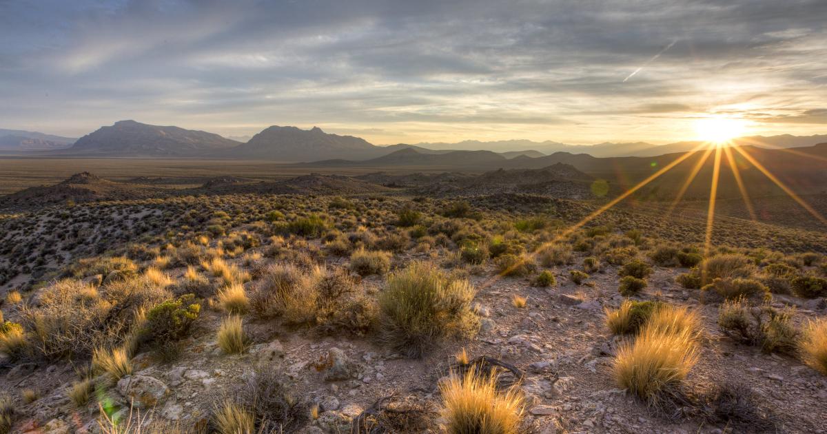 BLM seeks nominations for Public Lands Rule Advisory Committee