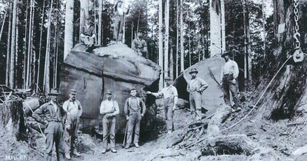 Archaeology and preservation of Falk townsite subject of free presentation