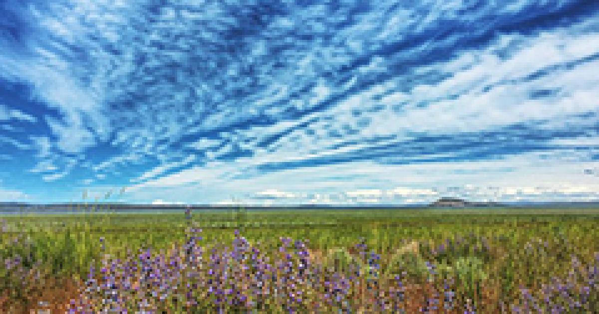 BLM Resource Advisory Council to meet in Cedarville