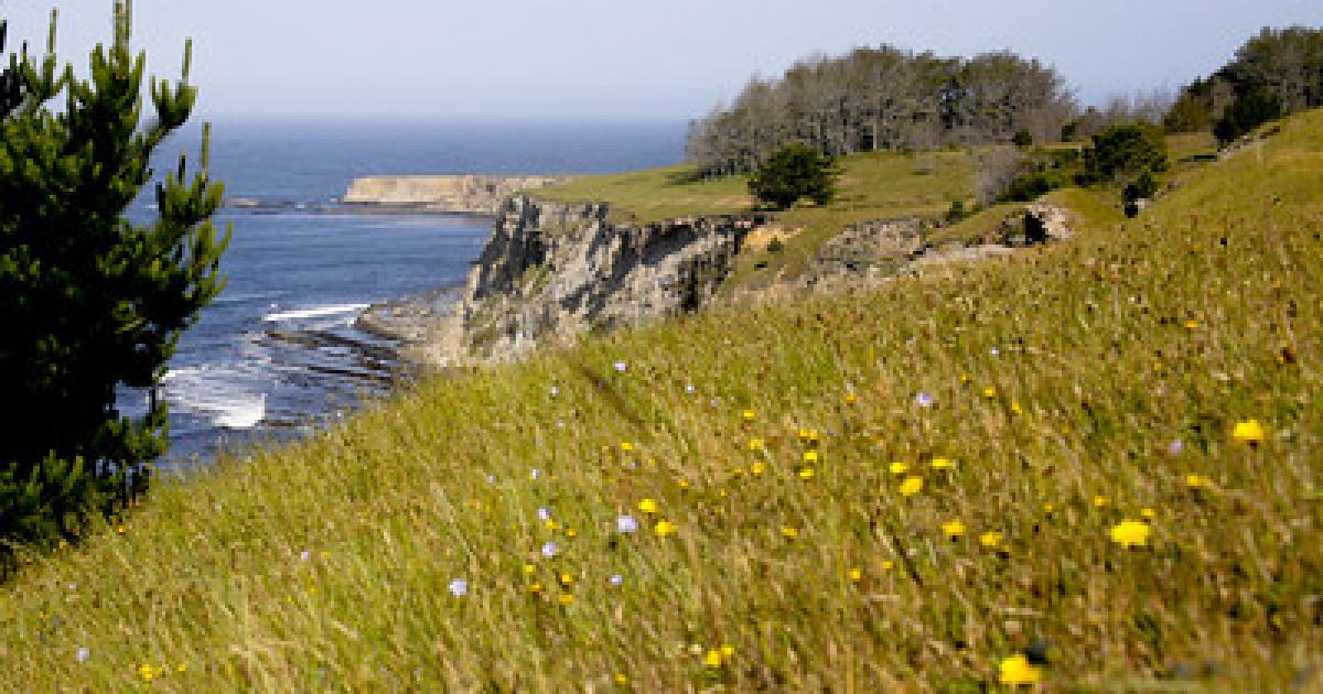 BLM to conduct prescribed fire at Point Arena