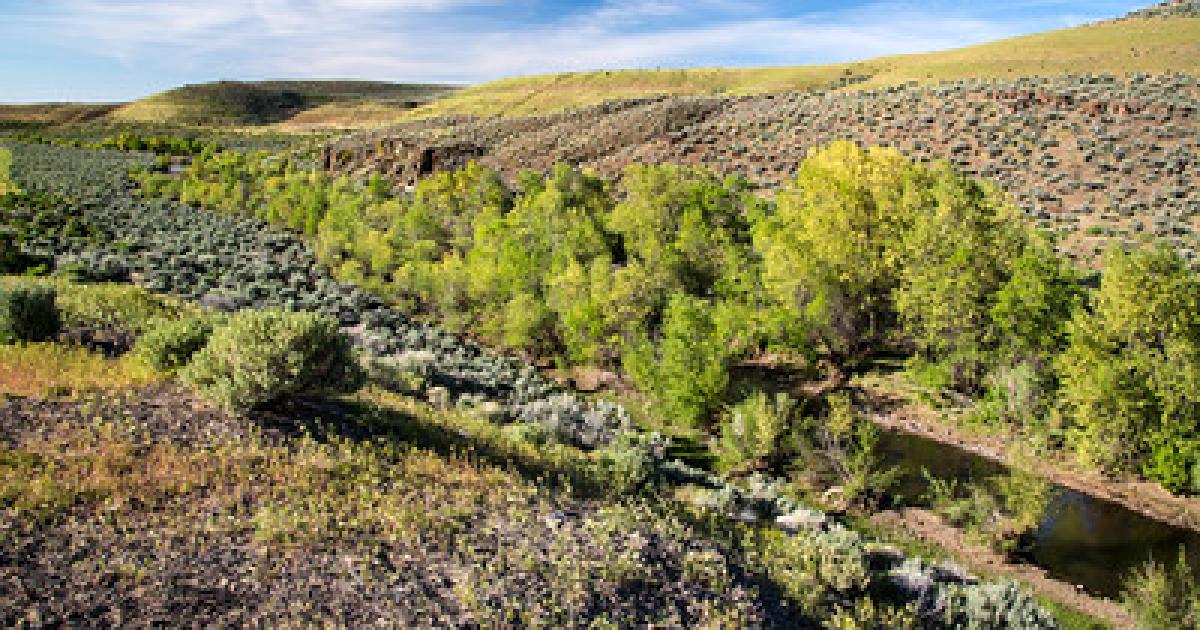 BLM lifts fire restrictions on public lands in NE Calif., NW Nevada